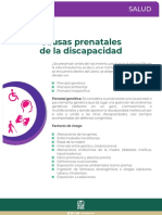 Causas Prenatales Discapacidad