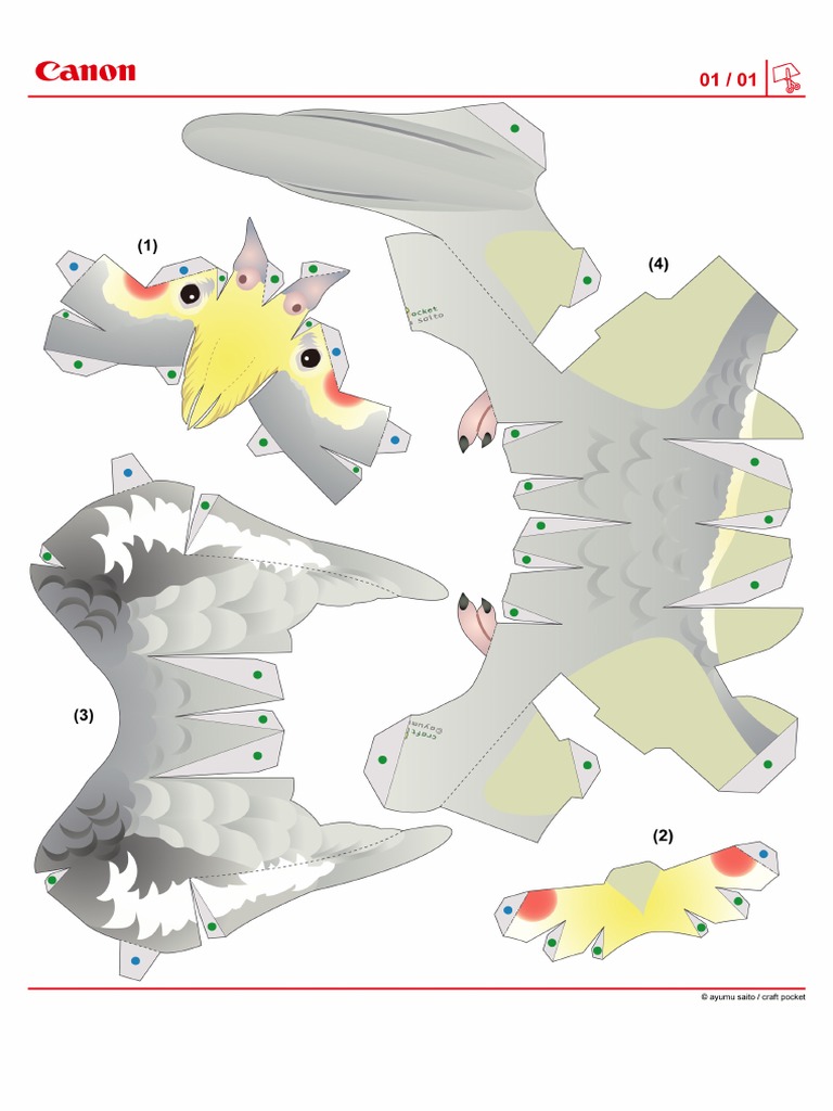 CNT 0021595 01 | PDF