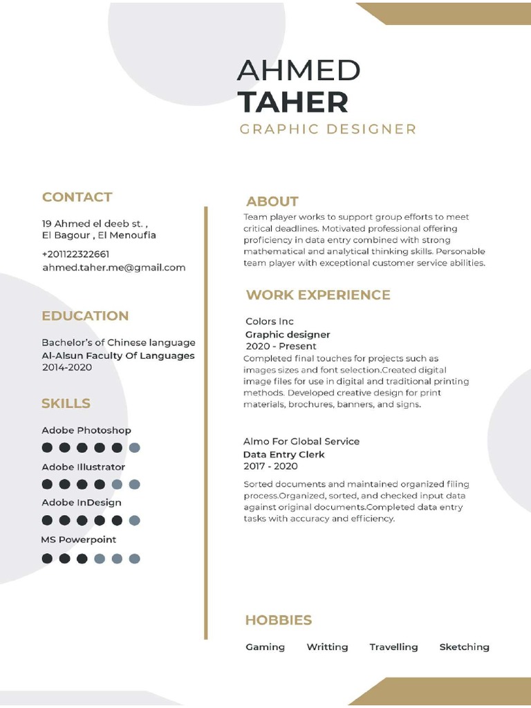Egyptian CV PDF