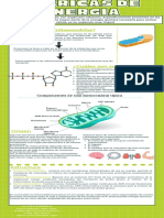 Trabajo Final - Biología