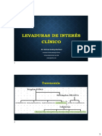 Levaduras de Interés Clínico: Taxonomía