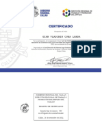 Certificado - Codigo N°-43