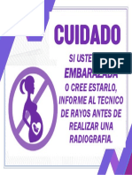Embarazada PDF