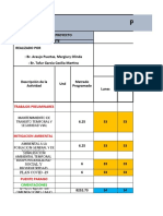 Libro PLAN SEMANAL TESIS