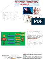 Sistema nervioso, reproductor y locomotor