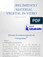 Endurecimiento de Material Vegetal in Vitro