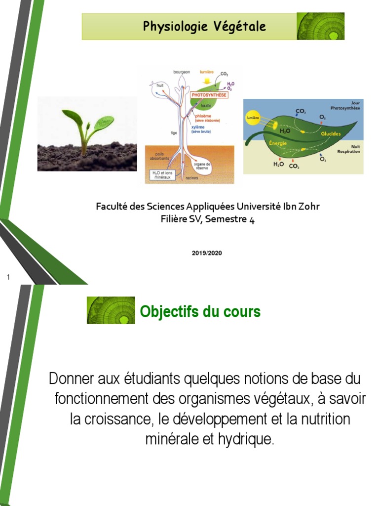 Sitemapcdatahttpsmixel Thicoipeinfoterre Vegetale Truffautnull