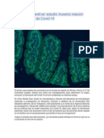 Microbiota Intestinal