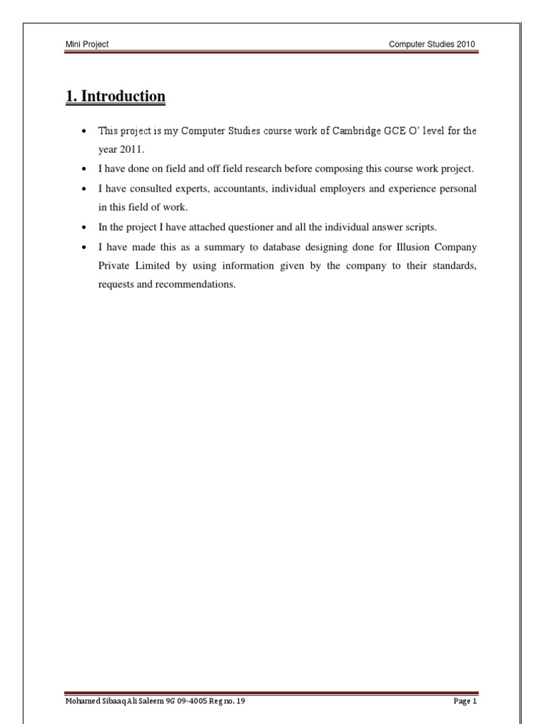Mini Project Computer Studies 2010 | PDF | Databases | Computer Hardware