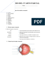 Actividades Del Cuarto Parcial