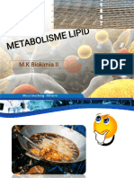 Metab Olisme Lipid: M.K Biokimia II