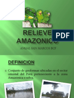 Relieveamazonico 120603094823 Phpapp02