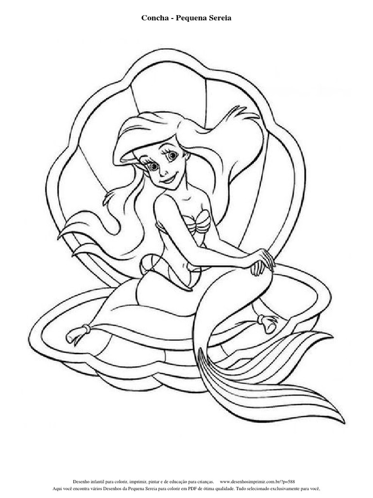 Desenhos Da Pequena Sereia para Colorir Concha | PDF | Arte, image size:768x1024