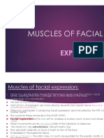 Muscles of Facial: Expression