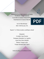 Práctica 7 y 8, Estría Cruzada y Morfología Colonial