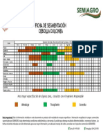 Segmenación Cebolla Dulcinea