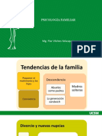 Psicología Familiar: Mg. Flor Vilches Velasquez