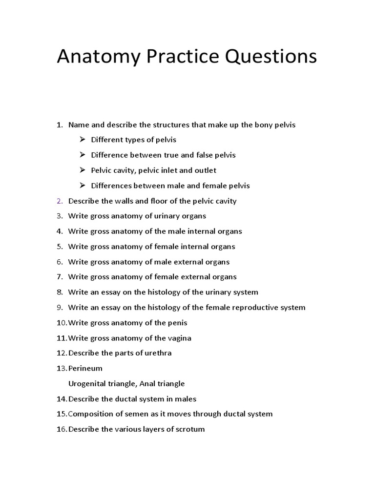 Anatomy Practice Questions PDF