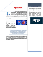 Sistema Respiratorio