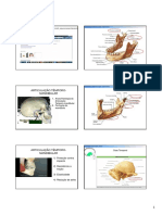 Articulação Têmporo-Mandibular: Ireneyan@