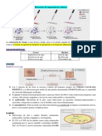 Bacterias de Importancia Clínica