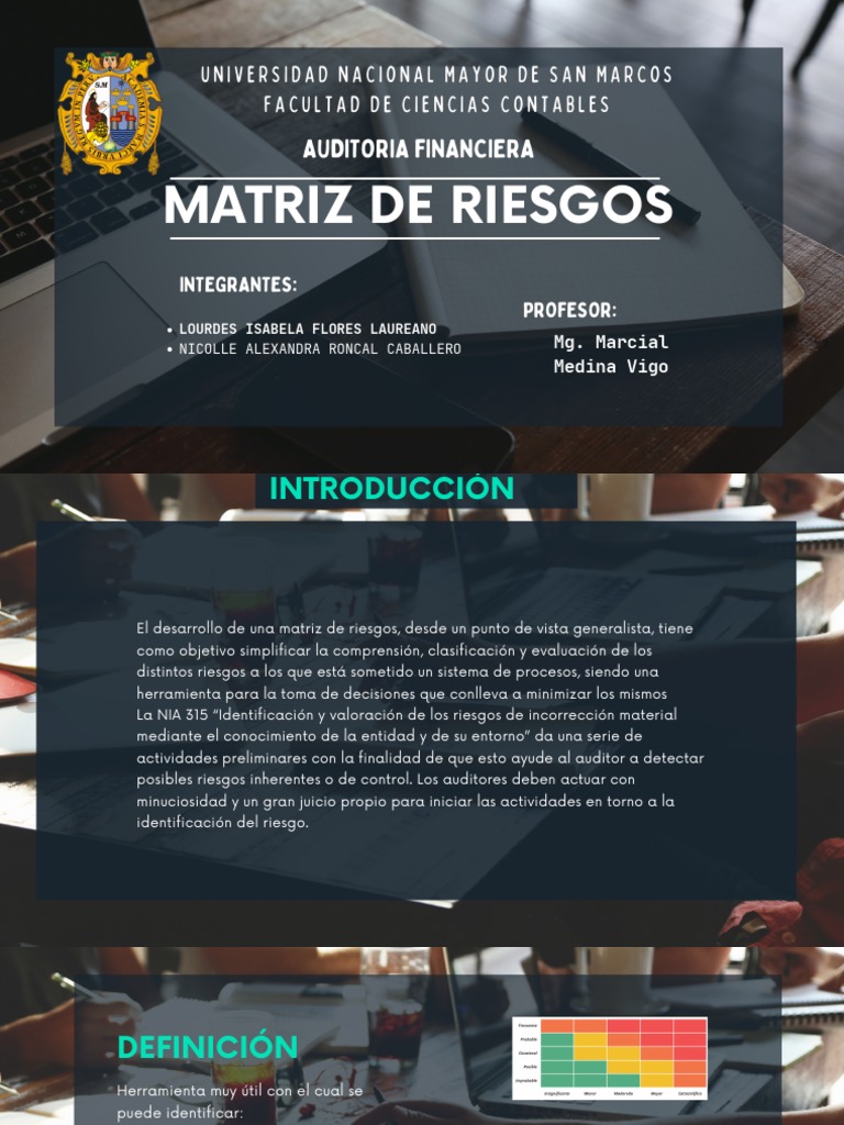 Matriz de Riesgos en Auditoría Financiera | PDF | Auditoría | Business