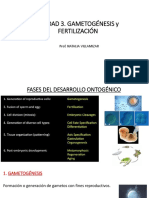 Clase 3. Gametogénesis y Fertilización - VIRTUAL