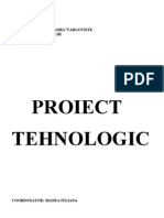 Proiect Tehnologic - Pasta de Tomate