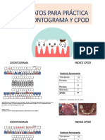 Formatos para Práctica de Odontograma Y Cpod