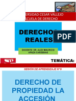 Universidad Cesar Vallejo Escuela de Derecho: Derechos Reales