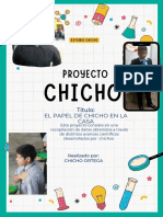 Chicho: Proyecto