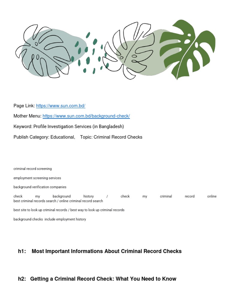 Understanding Criminal Background Checks A Comprehensive Guide to