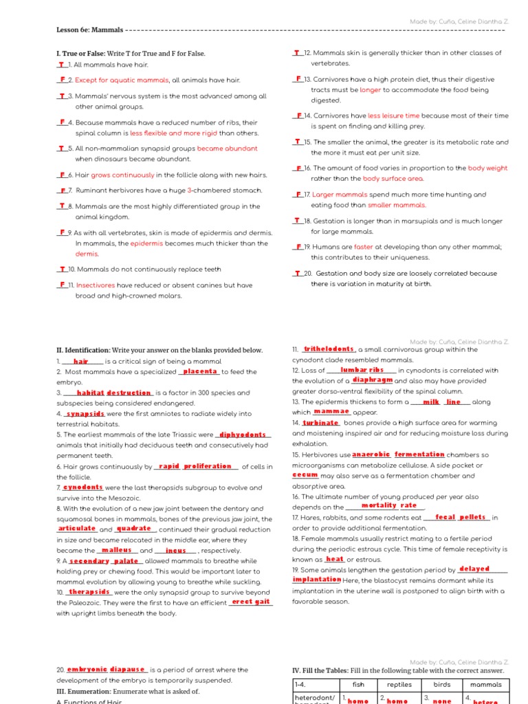 Answer Key - Mammals | PDF | Mammals | Hair
