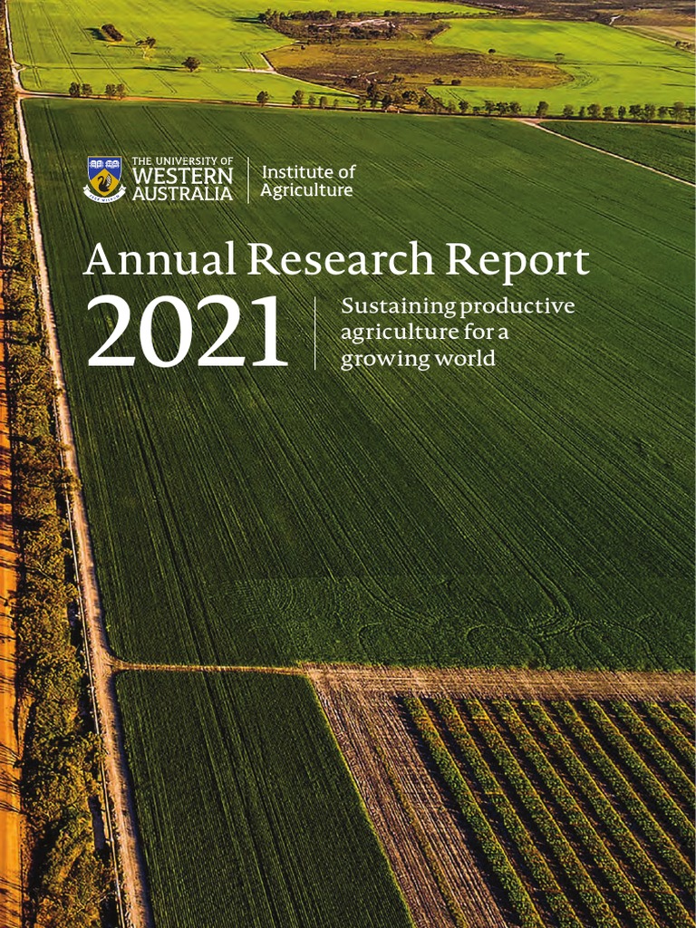 Annual Research Report Sustaining Productive Agriculture For A Growing World PDF Potato Virus