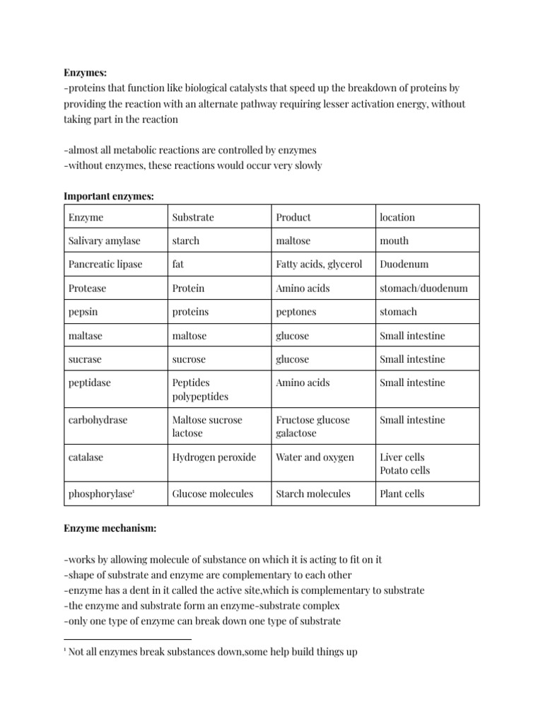Enzymes in IGCSE Biology Explained | PDF | Enzyme | Glucose