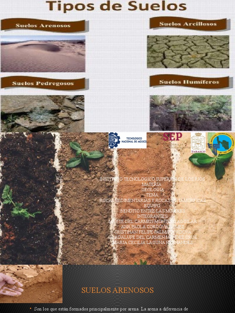 Bendito Entre Las Mujeres 2 PDF