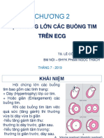 Chƣơng 2: H I CH NG L N Các Bu NG Tim Trên Ecg