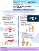 Características Sexuales Que Presenta El Adolescente.