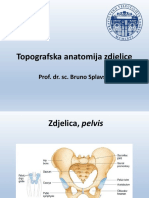 Topografska Anatomija Zdjelice: Prof. Dr. Sc. Bruno Splavski