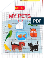 My Pets Unit 5