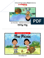 The Picnic: Leveled Book - B