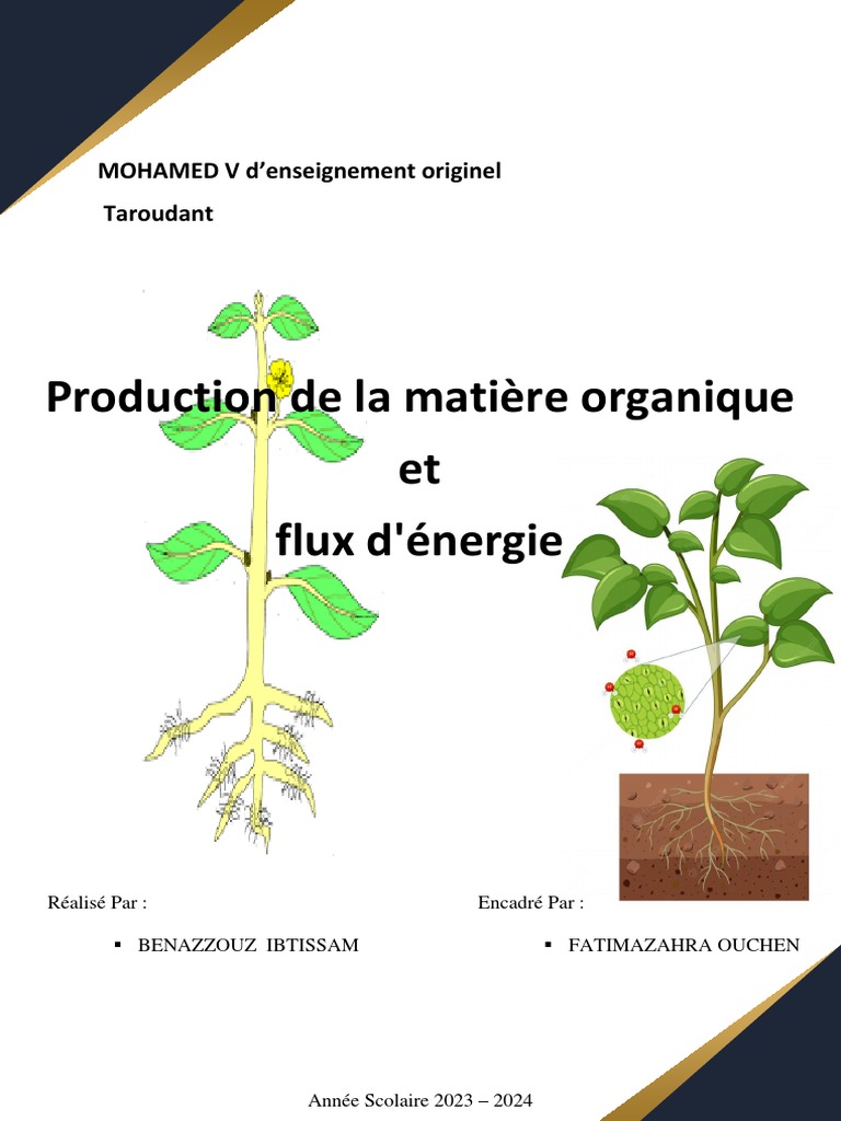 Voile organique de rude et de sel, nettoyage énerg le meilleur prix dans Amazon