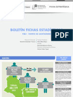 Boletin-BoletinEstrategico-TIBU - NORTE DE SANTANDER