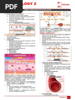 Primary Hemostasis - Eclinpath | PDF | Coagulation | Platelet
