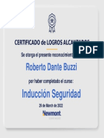 Inducción Seguridad: Roberto Dante Buzzi