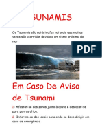 Tsunamis Cidadania Real