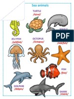 CDB Sea Animals - Food