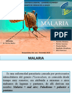 Cadena Epidemiologica y Ciclo Evolutivo