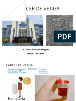 Cáncer de Vejiga: Dr. Omar Acosta Orbegozo Hngai - Essalud