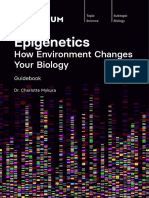 Epigenetics How Environment Changes Your Biology